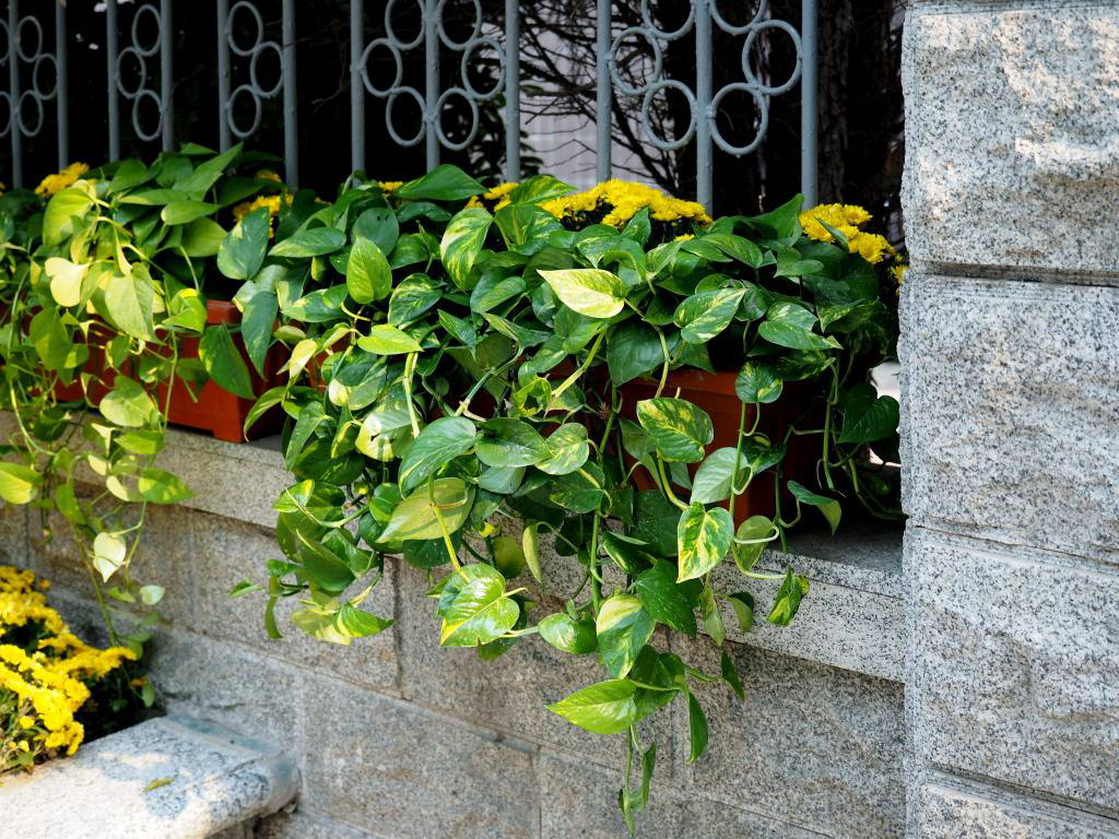 1566809506267153.png 圖片2.png